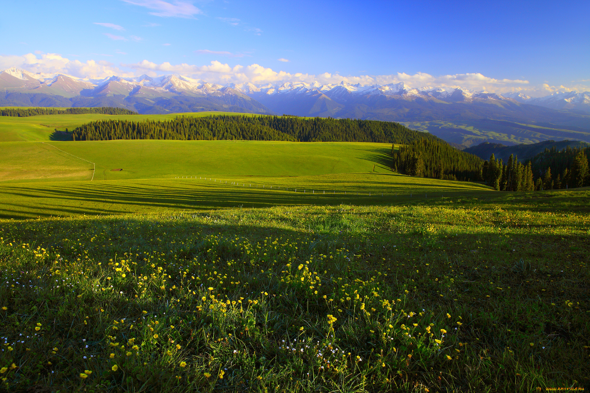 Самые известные равнины. Зеленые холмы горный Алтай. Холмистая равнина Алтайского края. Алтай поля. Природа Луга поля горы Россия.